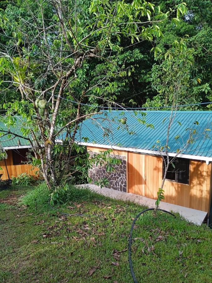 Cabanas Bajo Bosque Drake Drakes Bay Exterior foto