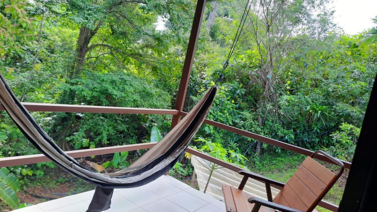 Cabanas Bajo Bosque Drake Drakes Bay Exterior foto
