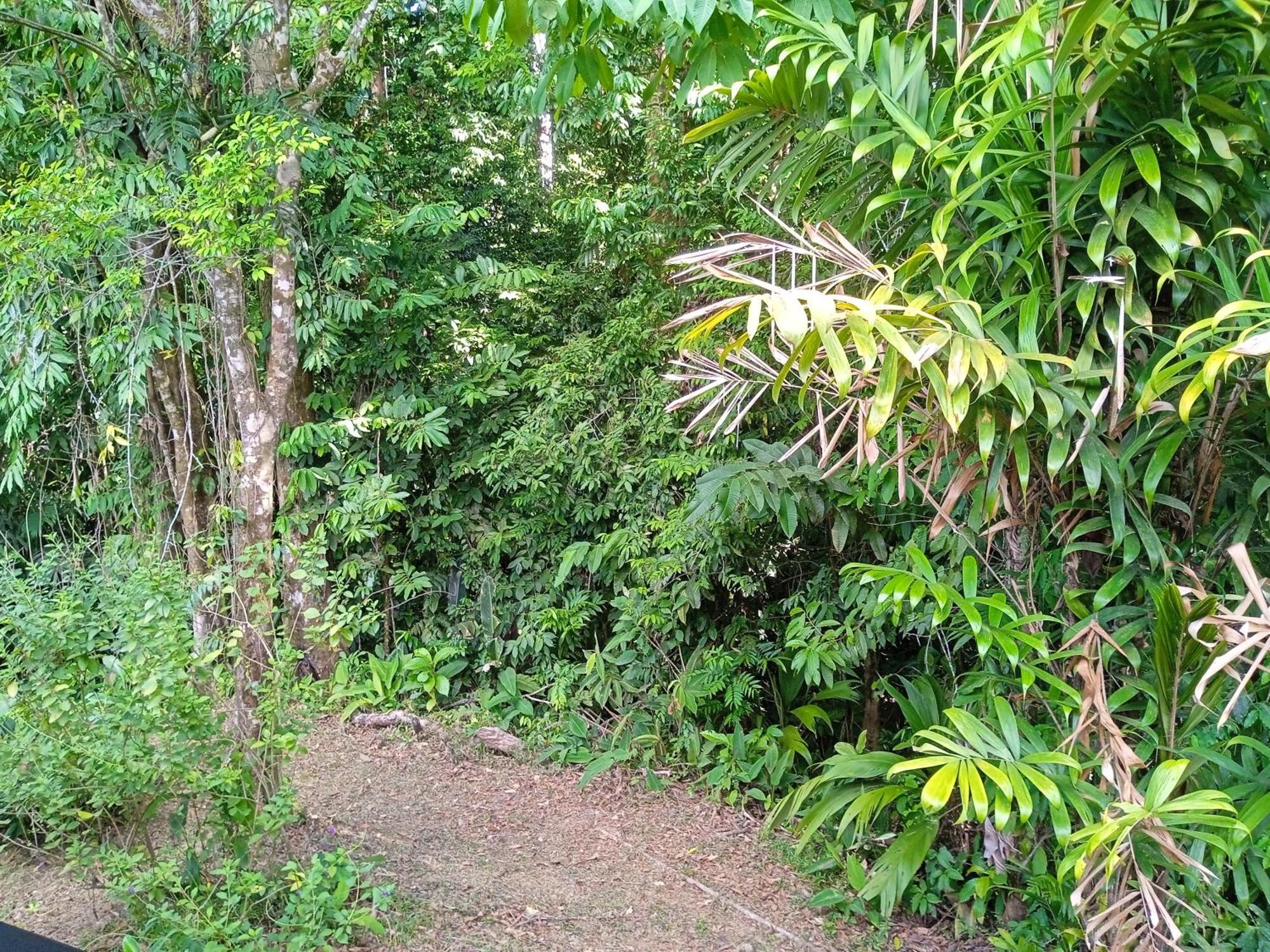 Cabanas Bajo Bosque Drake Drakes Bay Exterior foto