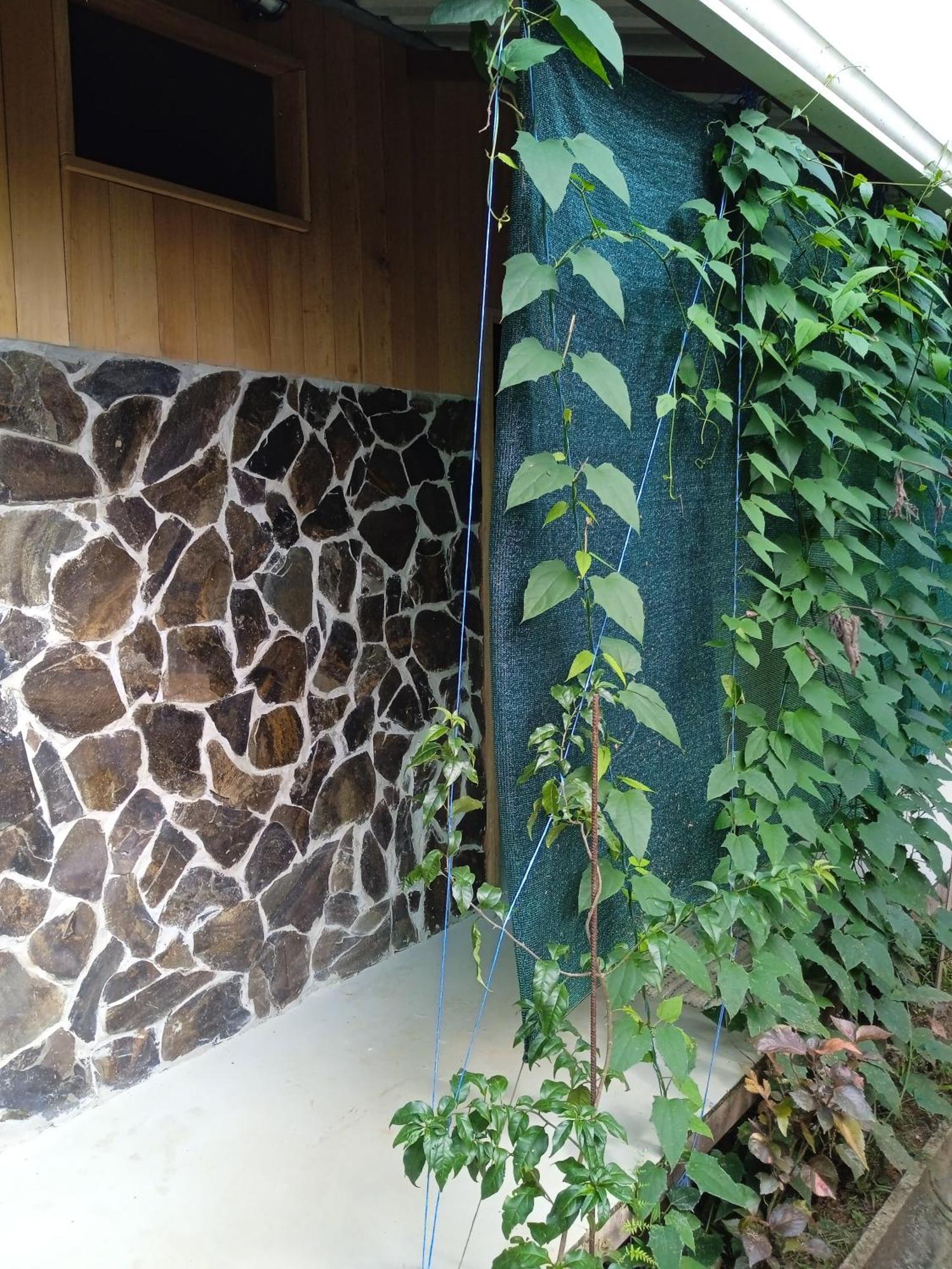 Cabanas Bajo Bosque Drake Drakes Bay Exterior foto
