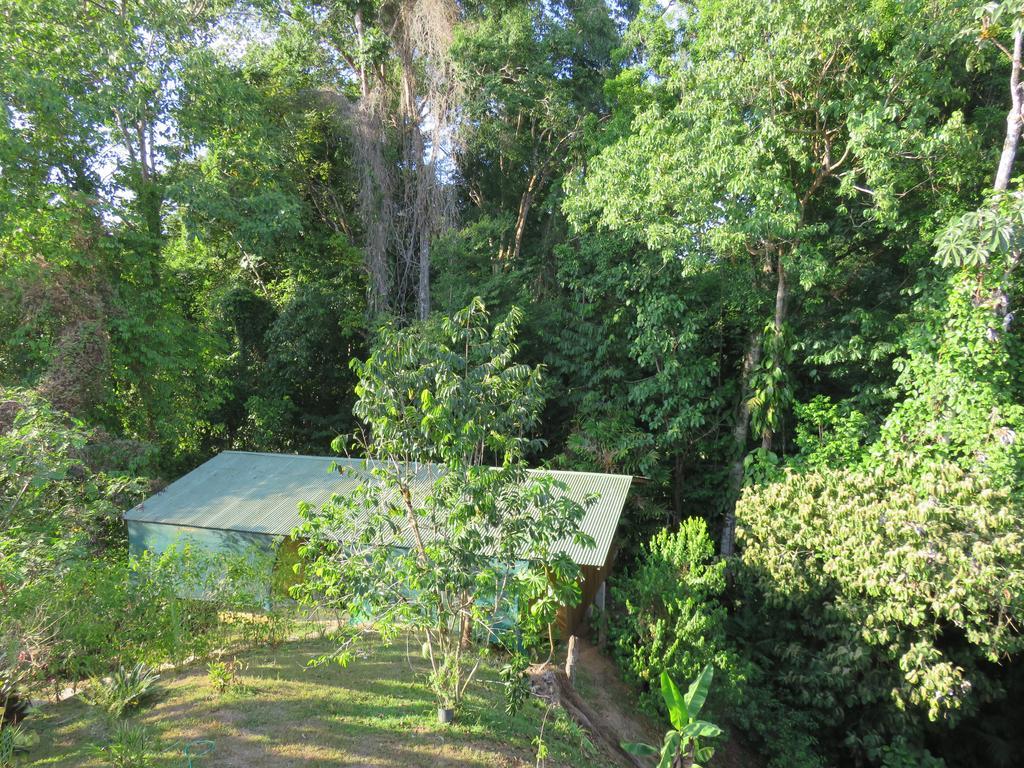 Cabanas Bajo Bosque Drake Drakes Bay Exterior foto